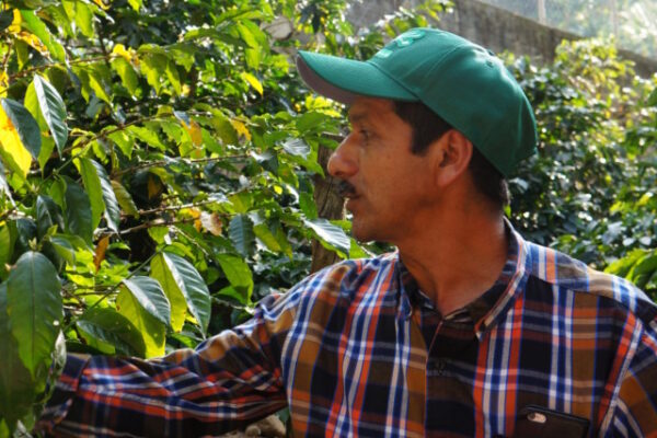 【コーヒーバッグ】Guatemala Esperanza – グアテマラ エスペランサ