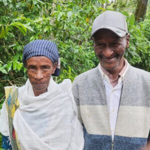 【珈琲豆】Ethiopia Desta Golo - エチオピア デスタ ゴロ