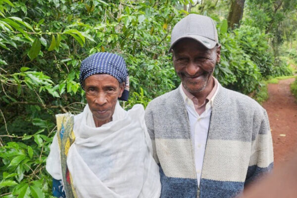 【珈琲豆】Ethiopia Desta Golo – エチオピア デスタ ゴロ